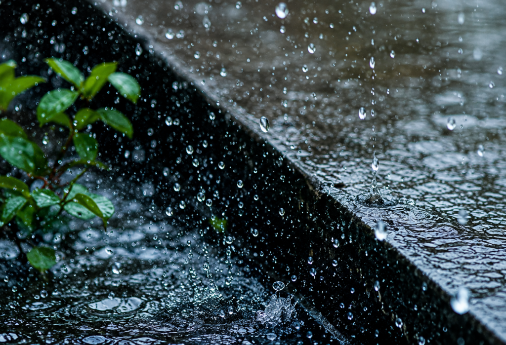 Nelson Mandela Bay On High Alert As Severe Rainfall Warning Issued